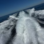 Charter day | Costa Luz Rental Yacht