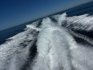 Charter day | Costa Luz Rental Yacht